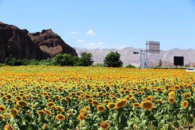 激情大乱斗 《WWE 2K23》“战争游戏”模式实机演示