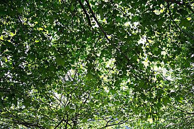 《戴森球计划》发布载具更新预告 上线时间待定